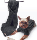 Load image into Gallery viewer, The combo- A Sweater for your pup and a Scarf for you - Lick You Silly Pet Products Shop