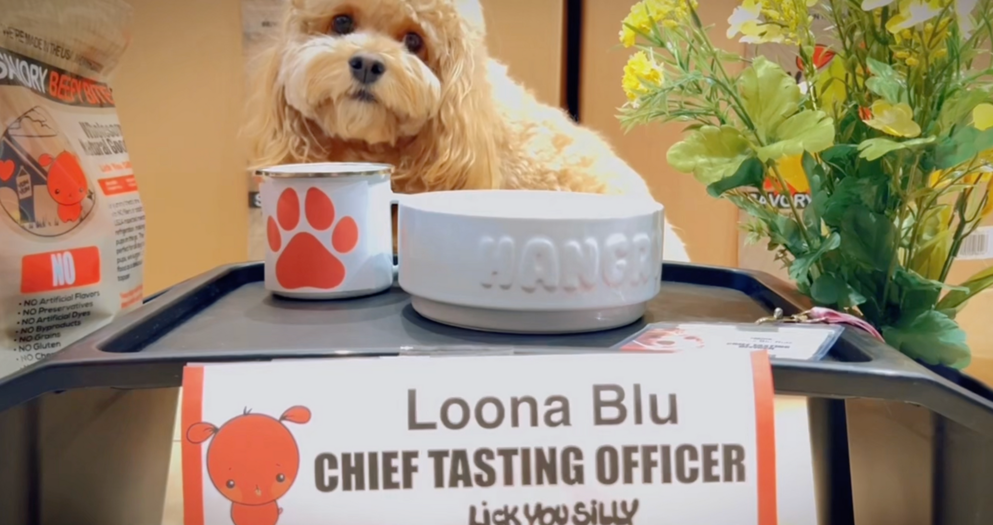 The Real Story Behind Lick You Silly | USA-Made Freeze-Dried Dog Treats