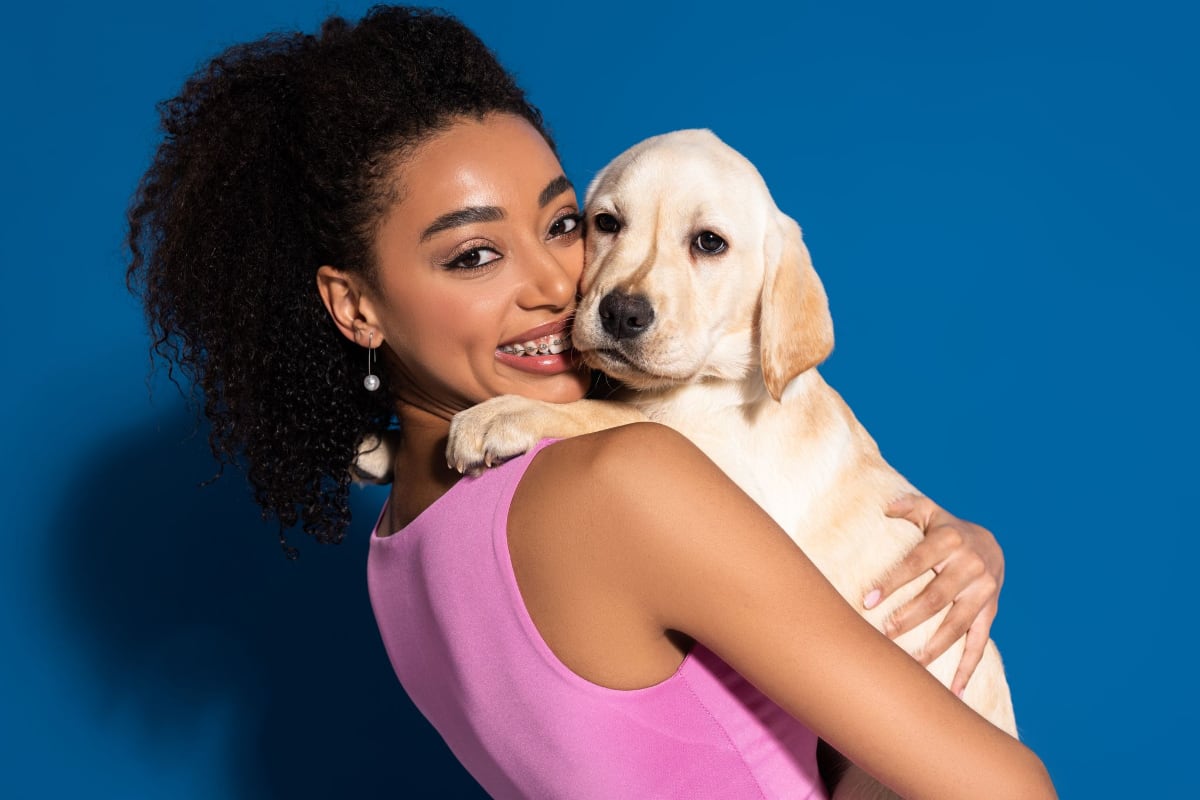 The Best Dog Training Treats That Will Make Your Dog Lick You Silly