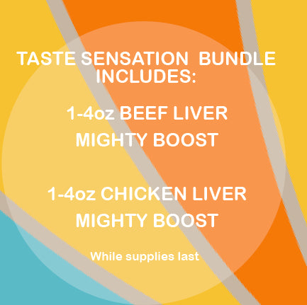 Taste Sensation Bundle