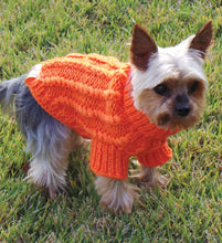 Sweater & Scarf + Treats- The Ultimate Lick You Silly gift set! - Lick You Silly Pet Products Shop