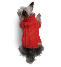 The combo- A Sweater for your pup and a Scarf for you - Lick You Silly Pet Products Shop