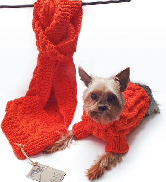 The combo- A Sweater for your pup and a Scarf for you - Lick You Silly Pet Products Shop